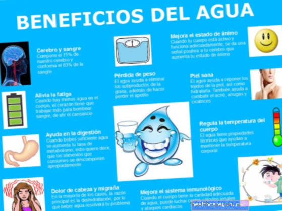 6 gezondheidsvoordelen van zeewater