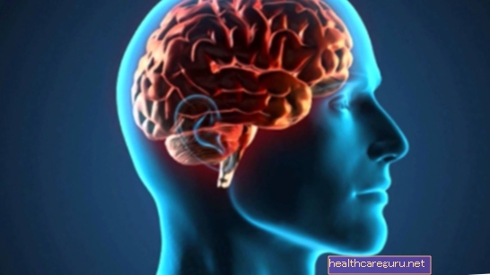 7 sự thật thú vị về bộ não con người