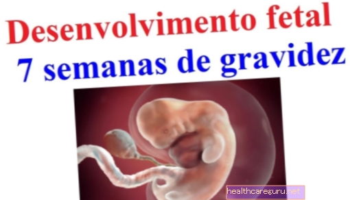 Ontwikkeling van de foetus: 37 weken zwangerschap