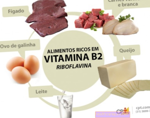 Živila, bogata z vitaminom B2