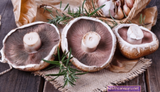 Vrste gljiva i 9 glavnih blagodati za zdravlje