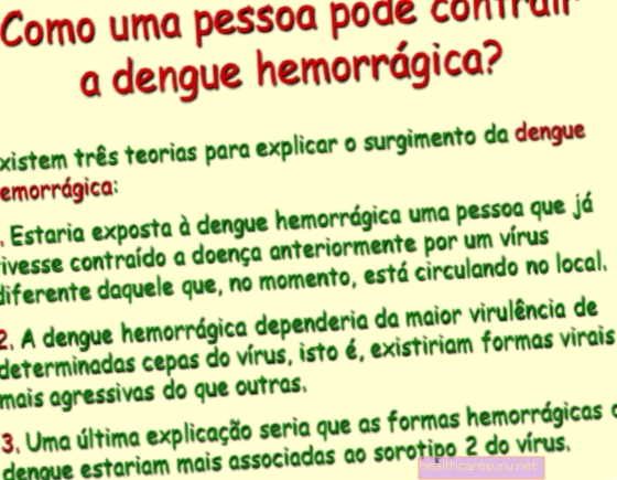 Hemorragisk dengue: hva det er, symptomer og behandling