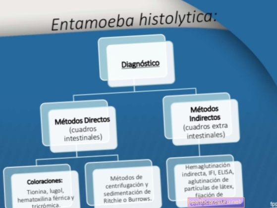 Entamoeba histolytica symptomer, diagnose og hvordan man behandler
