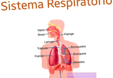Nemoci dýchacího systému: co to je, příznaky a co dělat