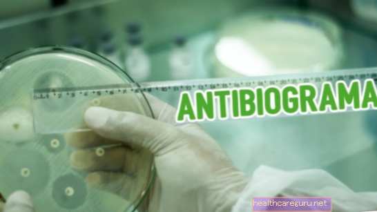 Antibiogram: hur det görs och hur man förstår resultatet