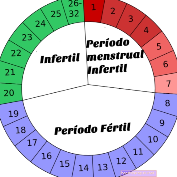 Fertile Period Calculator
