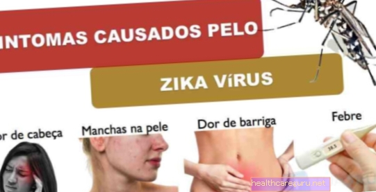 Vírus Zika v tehotenstve: príznaky, riziká pre dieťa a aká je diagnóza
