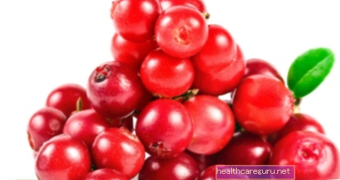 Cranberry (cranberry): τι είναι, τι χρησιμεύει και πώς να το χρησιμοποιήσετε