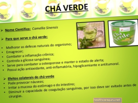 Zelený čaj: k čemu slouží a jak jej užívat